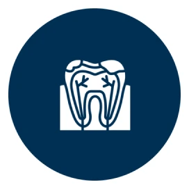 Dental diagram icon