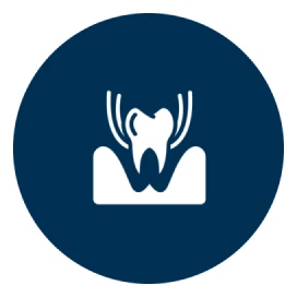 Tooth and roots in circle icon
